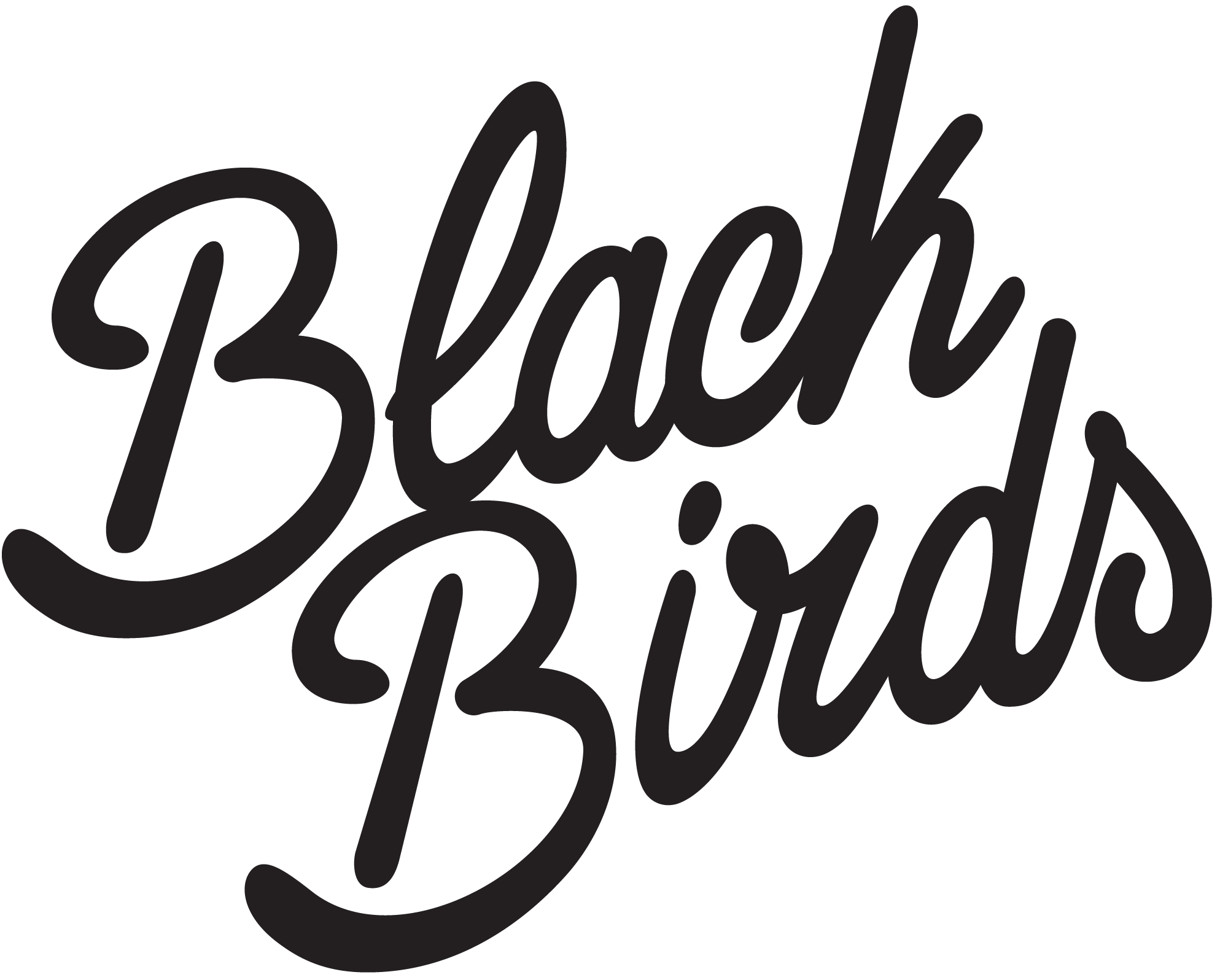 STICHTING BLACKBIRDS logo